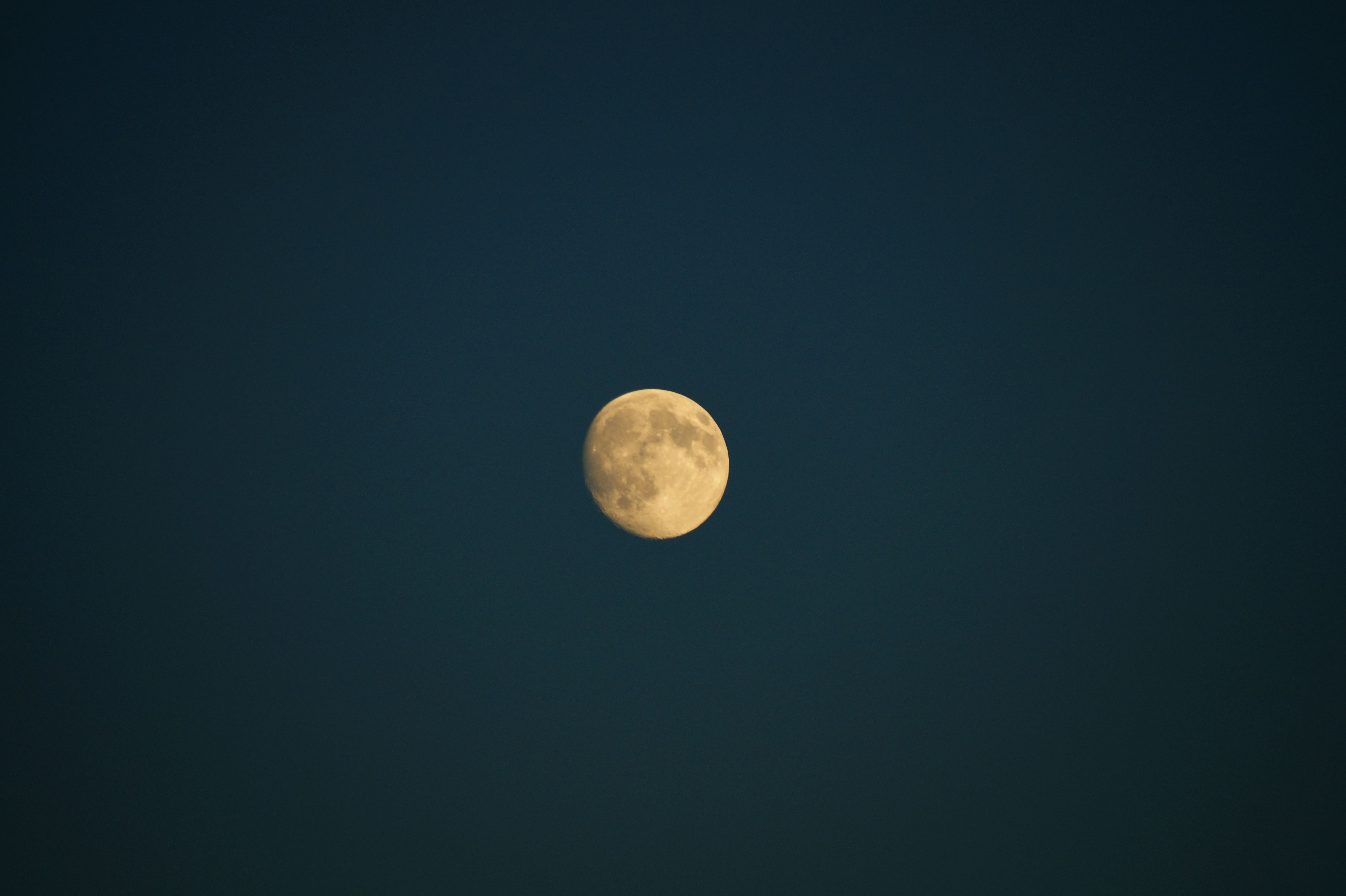 SpaceX的王座，只坐了一个夏天